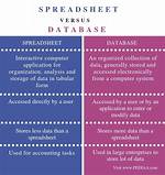 What Is the Difference Between a Spreadsheet and Word Processing Software Brainly