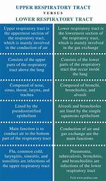 What Is the Difference Between an Upper and Lower Motor Neuron? Check This out | Umn and Lmn Difference