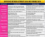 What Is the Difference Between Attribute and Spatial Data?