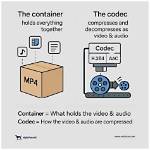 What Is the Difference Between Codec and Container?