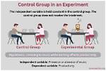 What Is the Difference Between Control Group and Experimental Group