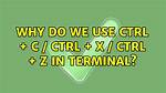 What Is the Difference Between Ctrl-Z and Ctrl-C in the Terminal?