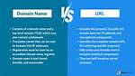 What Is the Difference Between Domain Objects, Pocos and Entities?