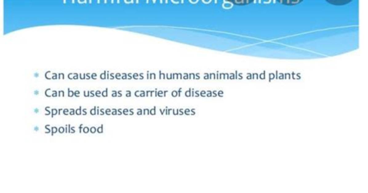 What Is the Difference Between Harmless Microorganisms and Pathogens?