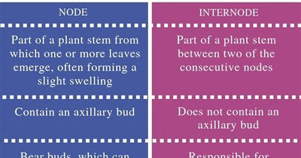 What Is the Difference Between Node and Internode