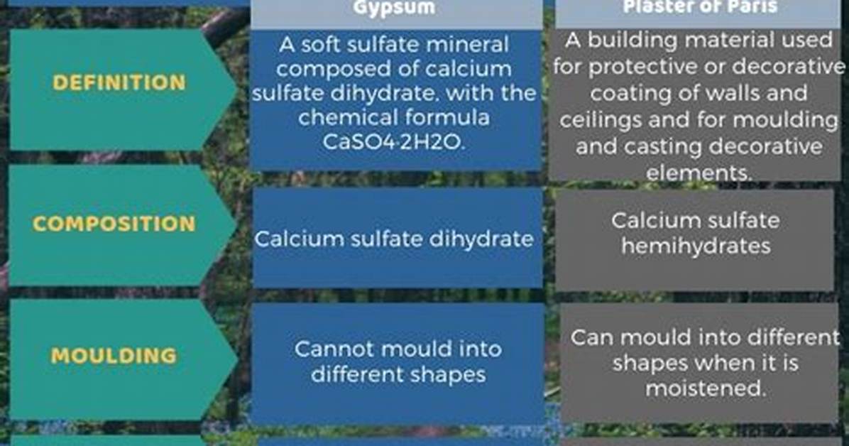 What Is the Difference Between Patching Plaster and Spackle