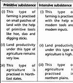 What Is the Difference Between Primitive Plus? Check This out | Glass Primitive Plus