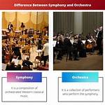 What Is the Difference Between Program Symphony and Symphonic Poem? Check This out | Program Symphony