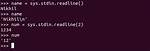 What Is the Difference Between Stdin and Stdin_Fileno?