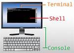 What Is the Difference Between Terminal, Console, Shell, and Command Line?