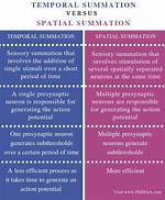What Is the Difference Between the Temporal Multithreading and Super-Threading?