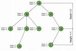 What Is the Difference Between Tree Depth and Height?
