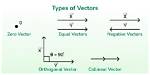 What Is the Difference Between Vector and Matrix