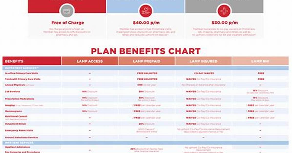 What Is the Lamp Program