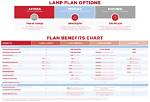 What Is the Lamp Program