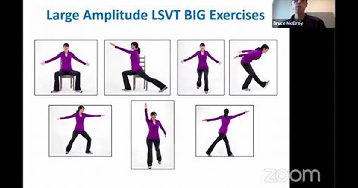 What Is the Lsvt Program