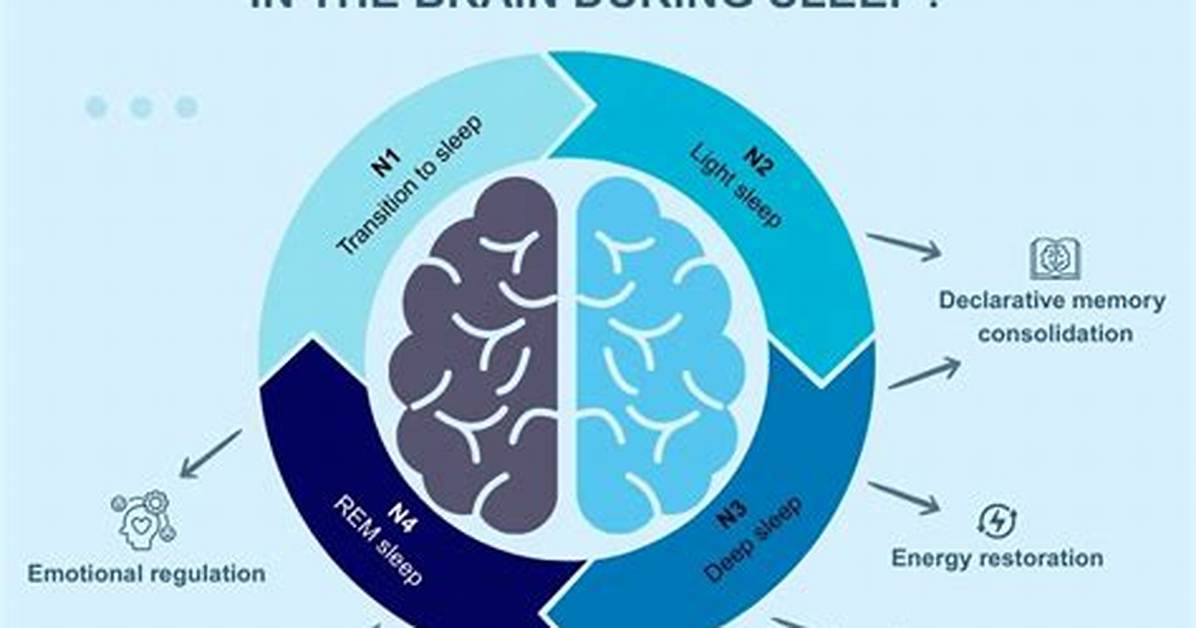 What Is the Sleep Function