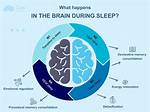 What Is the Sleep Function
