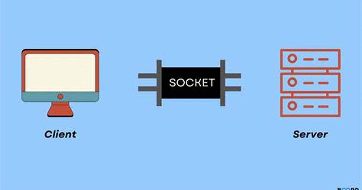 What Is the Socket