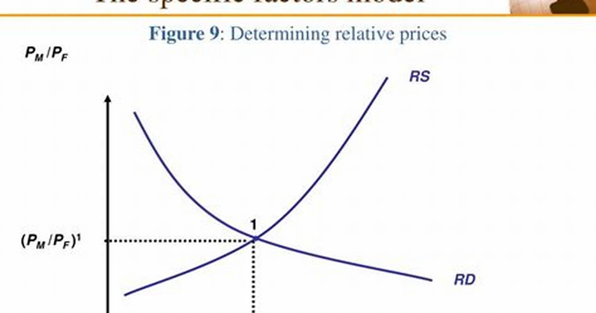 What Is the Specific Factor Model