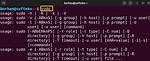 What Is the Sudo -I Command [Duplicate]
