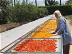 What Is the Sun Drying Method?