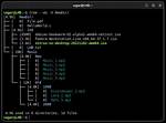 What Is the Tree Command in Linux?