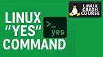 What Is the "Yes" Command?
