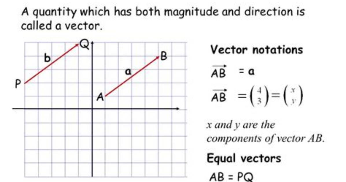 What Is This Vector Notation?