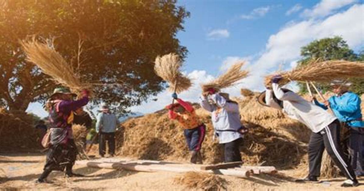 What Is Threshing