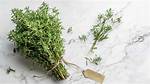 What Is Thyme