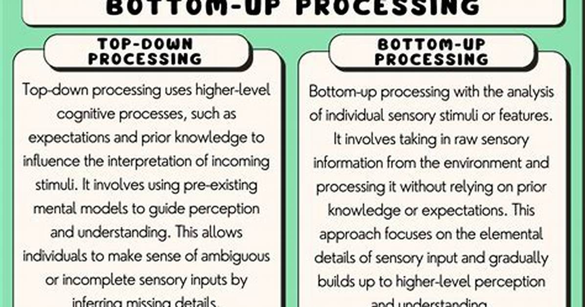 What Is Top Down Processing