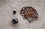 What Is Transience Memory?