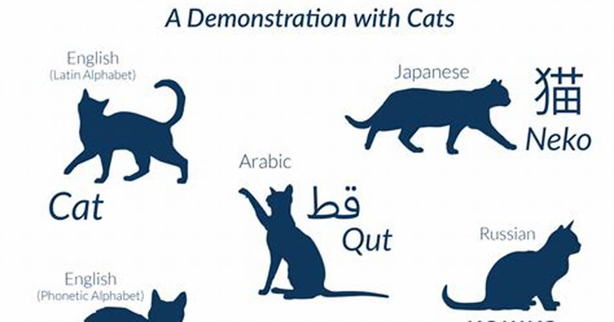What Is Transliteration Example?