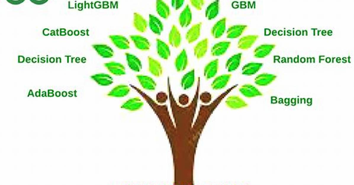 What Is Tree Based Algorithm