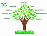 What Is Tree Based Algorithm