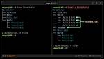 What Is Tree Linux?