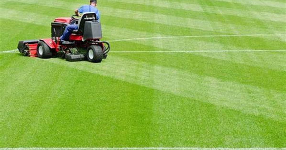What Is Turf Management Program