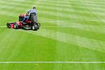 What Is Turf Management Program