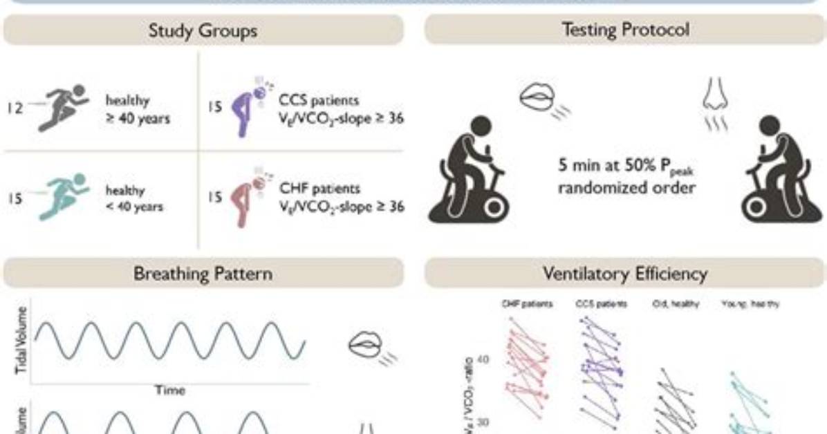 What Is Ventilatory Efficiency?