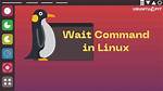 What Is Wait Command in Linux?
