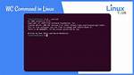 What Is Wc in Linux Command?