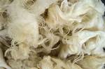 What Is Wool