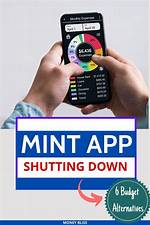 What Is Wrong with Mint App