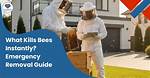 What Kills Bees