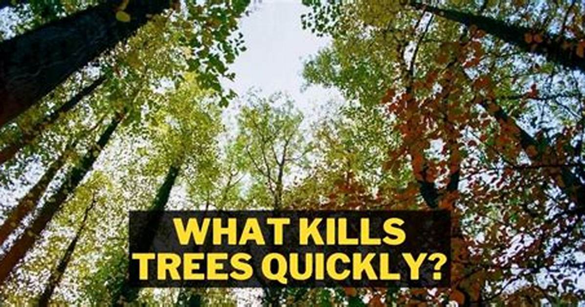 What Kills Trees Quickly