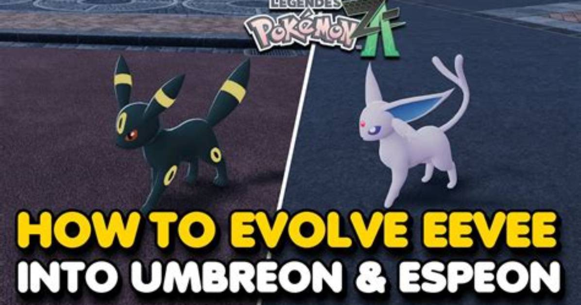 What Level Does Undy Evolve?