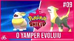 What Level Does Yamper?
