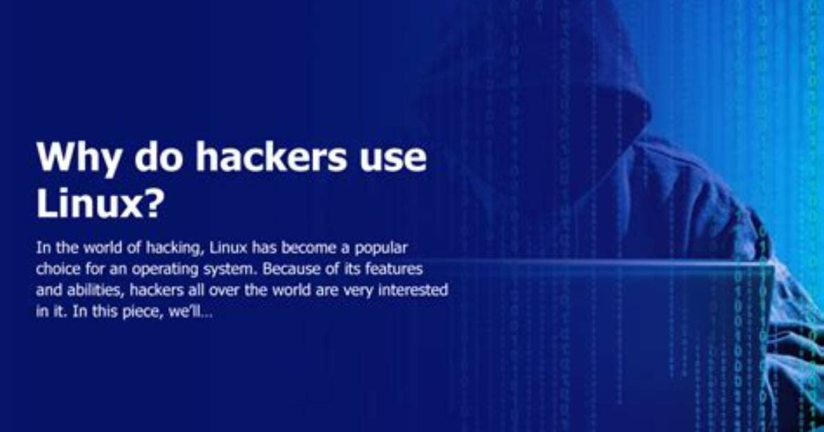 What Linux Do Hackers Use?
