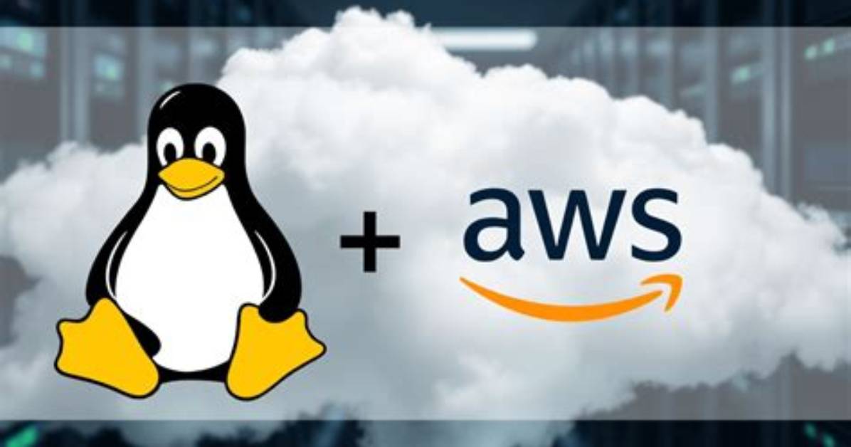 What Linux Does Aws Use?